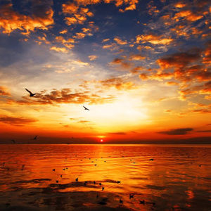 Meet your Posher, Salizare